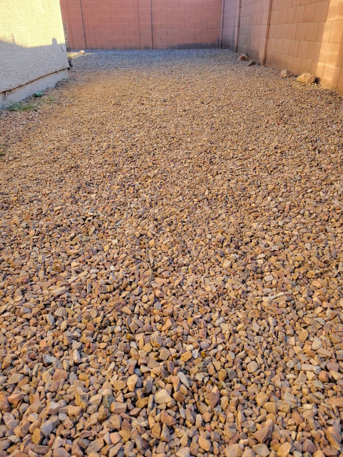Gravel backyard in El Paso after a Paw N Scoop pet waste cleanup